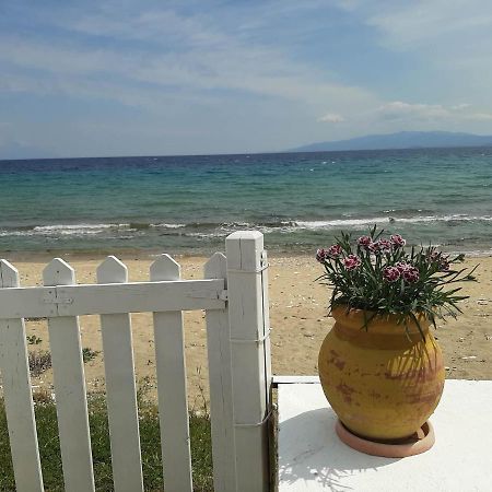 House Kokkalas On The Beach 皮加迪卡 外观 照片