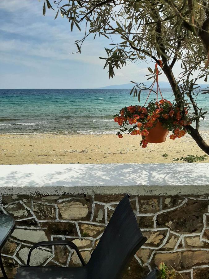 House Kokkalas On The Beach 皮加迪卡 外观 照片