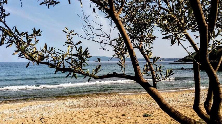House Kokkalas On The Beach 皮加迪卡 外观 照片